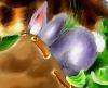Filename=Hase3.jpg
Filesize=87KiB
Dimensions=803x652
Date added=Jun 13, 2007 Hase3.jpg