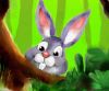 Filename=Hase5.jpg
Filesize=58KiB
Dimensions=713x596
Date added=Jun 13, 2007 Hase5.jpg