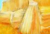 Filename=stroh2.jpg
Filesize=91KiB
Dimensions=902x619
Date added=Jun 13, 2007 stroh2.jpg