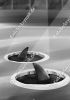Filename=Hailights_sw.jpg
Filesize=123KiB
Dimensions=425x600
Date added=Jan 23, 2013 Hailights_sw.jpg