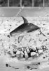 Filename=HappyEnd_V2_sw.jpg
Filesize=152KiB
Dimensions=425x600
Date added=Jan 23, 2013 HappyEnd_V2_sw.jpg