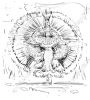 Filename=2015_scribble_rio-carnival_01.jpg
Filesize=208KiB
Dimensions=1000x1111
Date added=Mar 09, 2016 2015_scribble_rio-carnival_01.jpg