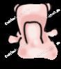 Filename=2006_animation_hippo_18.jpg
Filesize=3KiB
Dimensions=88x99
Date added=Mar 15, 2016 2006_animation_hippo_18.jpg