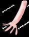 Filename=2006_animation_hippo_35.jpg
Filesize=2KiB
Dimensions=58x73
Date added=Mar 15, 2016 2006_animation_hippo_35.jpg