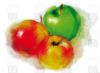 Filename=mae98_food_aquaapfel.jpg
Filesize=42KiB
Dimensions=605x446
Date added=Nov 13, 2007 mae98_food_aquaapfel.jpg
