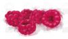 Filename=mae98_food_aqualHimbeere.jpg
Filesize=26KiB
Dimensions=581x342
Date added=Nov 13, 2007 mae98_food_aqualHimbeere.jpg