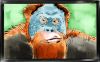 Filename=ape1.jpg
Filesize=123KiB
Dimensions=809x503
Date added=Jun 15, 2009 ape1.jpg
