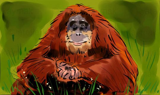Keywords: Atelier Kaymak; Nuesret Kaymak; illustration ; illustrator; sketch artist; concept graphic; animator; digital artist; digital painting; commercial art; editorial art; narrative art; figureheads; mascots; storyboard; rough board; sequential art; line art;