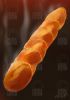 Filename=einzelbaguette_promo.jpg
Filesize=62KiB
Dimensions=450x636
Date added=Jan 22, 2008 einzelbaguette_promo.jpg