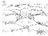 Filename=0407_scri_impfschutz04.gif
Filesize=54KiB
Dimensions=907x680
Date added=Oct 17, 2007 0407_scri_impfschutz04.gif