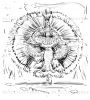 Filename=aug09_conc_scribb(3).jpg
Filesize=142KiB
Dimensions=650x722
Date added=Sep 22, 2009 aug09_conc_scribb(3).jpg