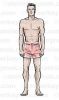 Filename=iconboy.jpg
Filesize=12KiB
Dimensions=184x311
Date added=Sep 22, 2008 iconboy.jpg
