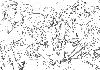 Filename=12_03.gif
Filesize=57KiB
Dimensions=585x414
Date added=Jun 30, 2008 12_03.gif