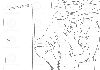 Filename=9_01.gif
Filesize=29KiB
Dimensions=585x414
Date added=Jun 30, 2008 9_01.gif