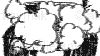 Filename=stbrd_rasen_rough-(21).gif
Filesize=12KiB
Dimensions=320x180
Date added=Jun 15, 2009 stbrd_rasen_rough-(21).gif