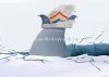 Filename=06_wrw_unitymedia_eisbrecher.jpg
Filesize=76KiB
Dimensions=767x550
Date added=Mar 26, 2012 06_wrw_unitymedia_eisbrecher.jpg