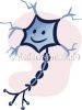 Filename=Neuron2_300dpi.jpg
Filesize=18KiB
Dimensions=236x311
Date added=Mar 26, 2012 Neuron2_300dpi.jpg