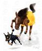 Filename=horse-dog.jpg
Filesize=36KiB
Dimensions=542x650
Date added=Sep 03, 2008 horse-dog.jpg