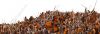 Filename=2012_mittelalter_kreuzzug.jpg
Filesize=162KiB
Dimensions=1493x522
Date added=Nov 23, 2014 2012_mittelalter_kreuzzug.jpg