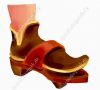 Filename=2012_mittelalter_schnabelschuh_5.jpg
Filesize=18KiB
Dimensions=428x389
Date added=Nov 23, 2014 2012_mittelalter_schnabelschuh_5.jpg