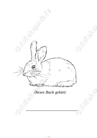 Keywords: Atelier Kaymak; Nuesret Kaymak; illustration ; illustrator; sketch artist; concept graphic; animator; digital artist; digital painting; commercial art; editorial art; narrative art; figureheads; mascots; storyboard; rough board; sequential art; line art;