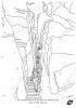 Filename=Eifel_Malbuch_Seite_42_wm.jpg
Filesize=31KiB
Dimensions=331x468
Date added=Nov 23, 2014 Eifel_Malbuch_Seite_42_wm.jpg