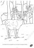 Filename=Eifel_Malbuch_Seite_70_wm.jpg
Filesize=32KiB
Dimensions=331x468
Date added=Nov 23, 2014 Eifel_Malbuch_Seite_70_wm.jpg