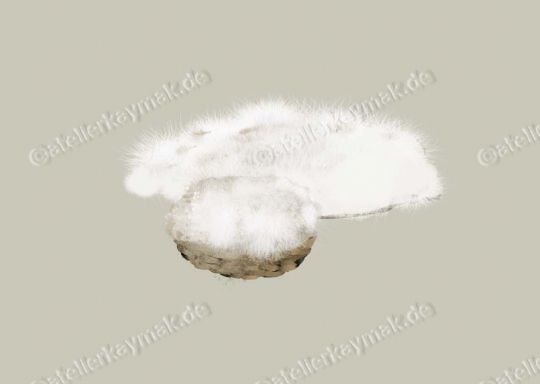 Keywords: Atelier Kaymak; Nuesret Kaymak; illustration ; illustrator; sketch artist; concept graphic; animator; digital artist; digital painting; commercial art; editorial art; narrative art; figureheads; mascots; storyboard; rough board; sequential art; line art;