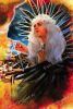 Filename=2014_kaymak_de_wikinger_082.jpg
Filesize=69KiB
Dimensions=402x600
Date added=Sep 16, 2015 2014_kaymak_de_wikinger_082.jpg