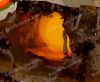 Filename=2014_kaymak_de_wikinger_129.jpg
Filesize=72KiB
Dimensions=920x762
Date added=Sep 16, 2015 2014_kaymak_de_wikinger_129.jpg