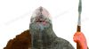 Filename=2014_kaymak_de_wikinger_202.jpg
Filesize=45KiB
Dimensions=916x510
Date added=Sep 16, 2015 2014_kaymak_de_wikinger_202.jpg