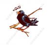 kinderbuch_Vogel_Amsel.jpg