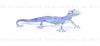 Filename=Gecko_4_aquarell.jpg
Filesize=49KiB
Dimensions=799x374
Date added=Aug 21, 2009 Gecko_4_aquarell.jpg