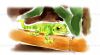 Filename=Gecko_aquarell.jpg
Filesize=138KiB
Dimensions=848x467
Date added=Aug 21, 2009 Gecko_aquarell.jpg
