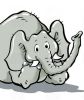 Filename=Elefant.jpg
Filesize=37KiB
Dimensions=378x450
Date added=Feb 21, 2007 Elefant.jpg